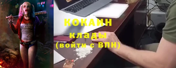 мет Алексин