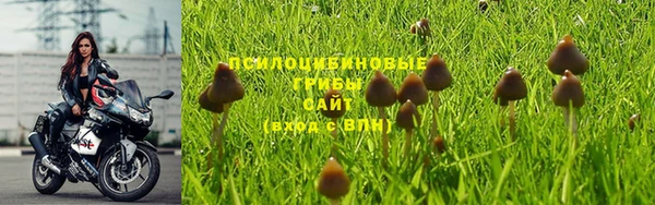 ECSTASY Алзамай