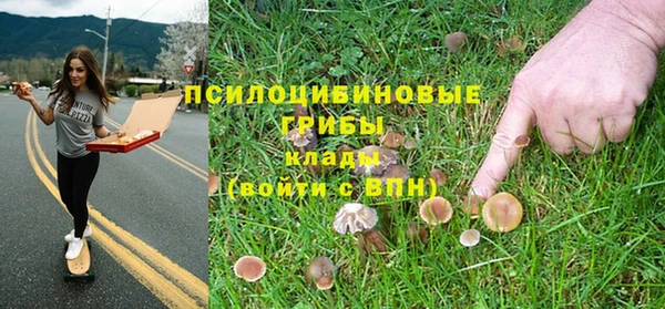 гашик Магадан