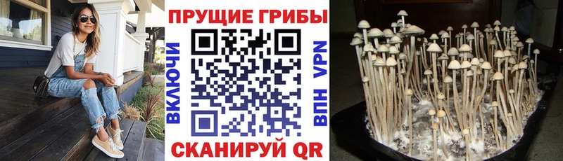 Галлюциногенные грибы мицелий  Нижний Тагил 